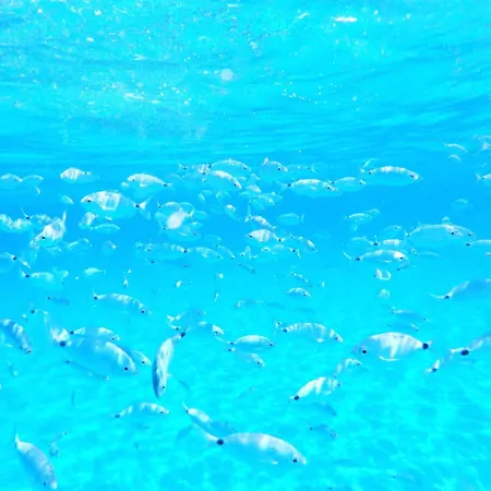 Casa Sirena Bestvacationever Villasimius